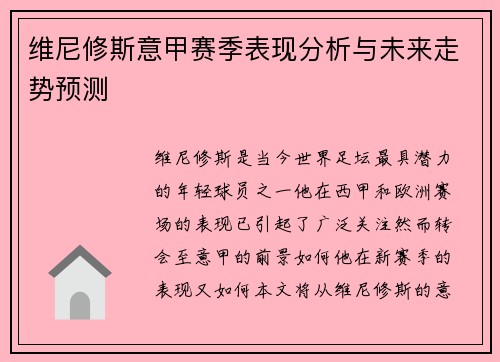 维尼修斯意甲赛季表现分析与未来走势预测